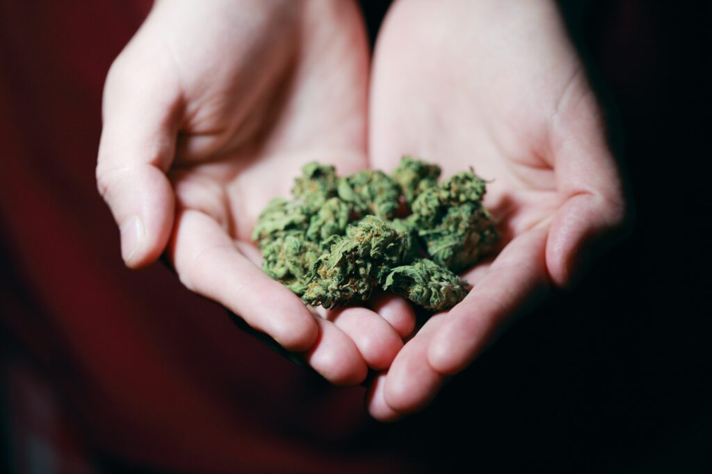 Cannabis in den Händen